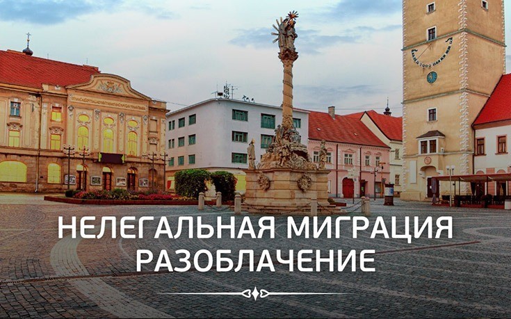 Нелегальная миграция, разоблачение-Slovakia Garant
